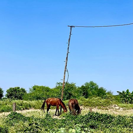 Tekri Farms And Retreat Hotel Ujjain Eksteriør billede