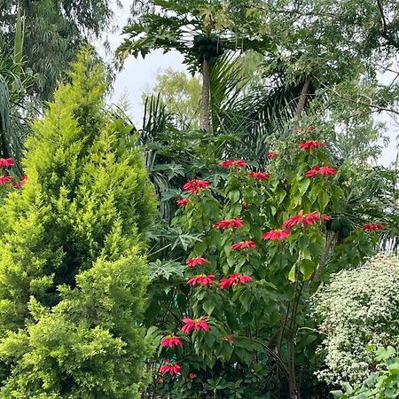 Tekri Farms And Retreat Hotel Ujjain Eksteriør billede