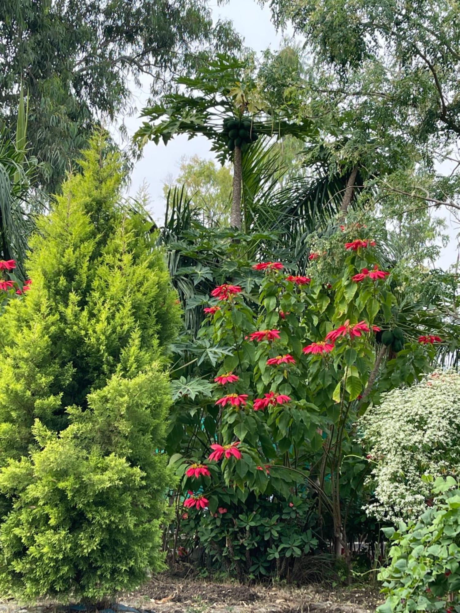 Tekri Farms And Retreat Hotel Ujjain Eksteriør billede